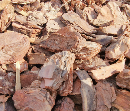 Écorce de pin 10/40 mm – Paillage naturel pour jardin