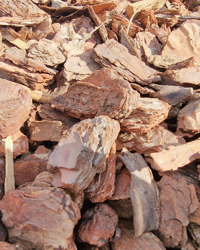 Écorce de pin 10/40 mm – Paillage naturel pour jardin