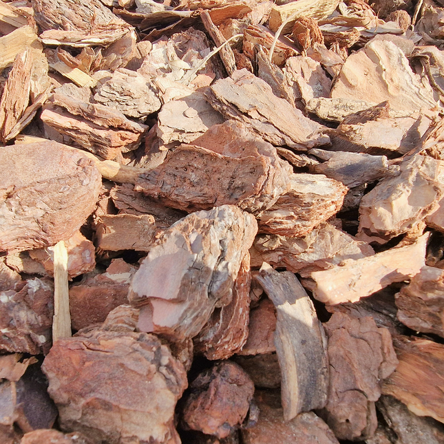 Écorce de pin 10/40 mm – Paillage naturel pour jardin