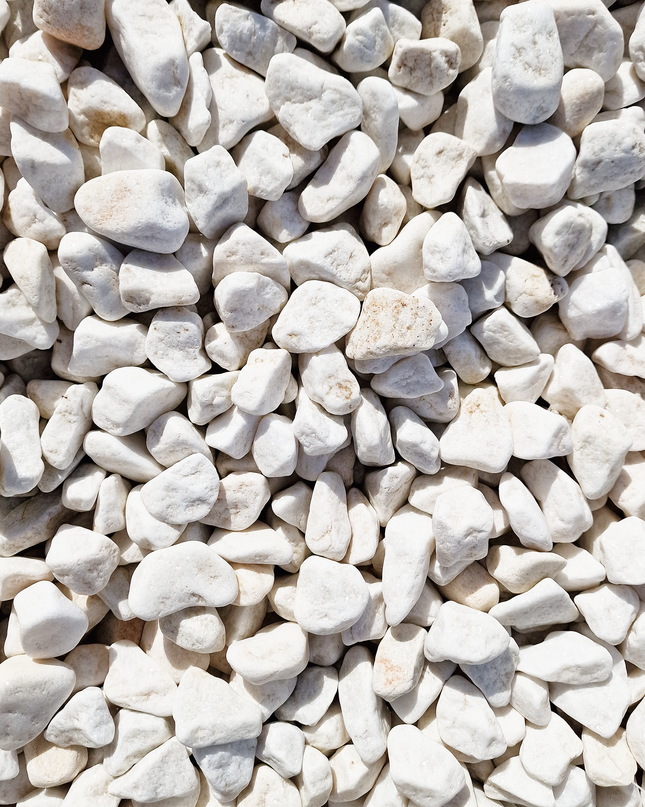 Galet blanc roulé pour jardin 20/40 mm - Galets décoratifs