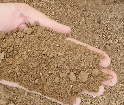 Terre végétale tamisée et enrichie – Prête à l’emploi