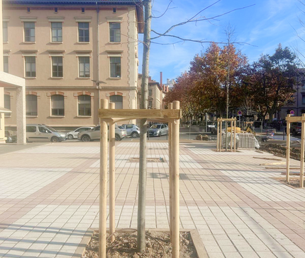 Tuteur arbre en kit - tuteurage quadripode pour arbre prêt à installer