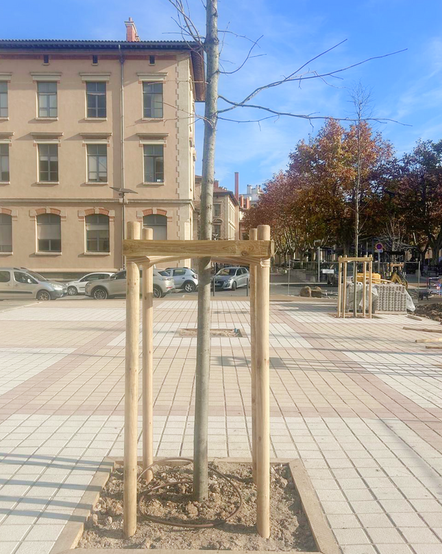 Tuteur arbre en kit - tuteurage quadripode pour arbre prêt à installer