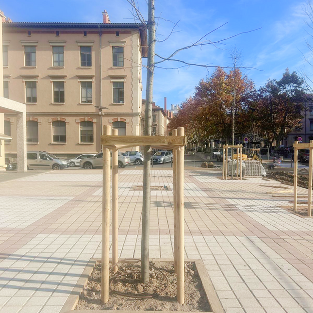 Tuteur arbre en kit - tuteurage quadripode pour arbre prêt à installer