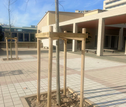 Tuteur arbre en kit - tuteurage quadripode pour arbre prêt à installer