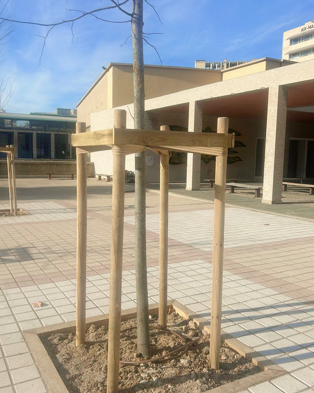 Tuteur arbre en kit - tuteurage quadripode pour arbre prêt à installer