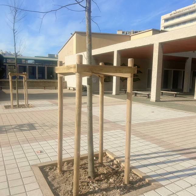 Tuteur arbre en kit - tuteurage quadripode pour arbre prêt à installer